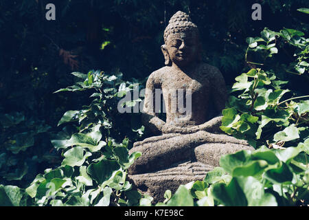 Sculpture de Bouddha sur la nature verte Banque D'Images