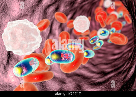 Le chitosan nanoparticules dans le sang, l'illustration. Image conceptuelle démontrant un potentiel de l'administration ciblée de médicaments à l'aide de nanoparticules polymères. Banque D'Images