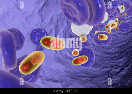 Le chitosan nanoparticules dans le sang, l'illustration. Image conceptuelle démontrant un potentiel de l'administration ciblée de médicaments à l'aide de nanoparticules polymères. Banque D'Images