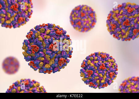Le virus de l'encéphalite équine de l'ordinateur, l'illustration. C'est un ARN (acide ribonucléique) du virus du genre alphavirus. C'est un arbovirus (virus transmis par les arthropodes) et est transmis à l'homme, les oiseaux et les chevaux par piqûre de moustique. Les symptômes varient de légers symptômes semblables à ceux de l'inflammation du cerveau, un coma et la mort. Banque D'Images