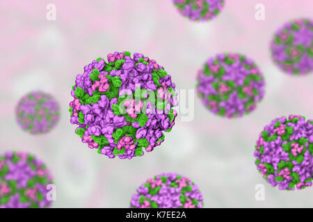 Le virus de l'encéphalite équine de l'ordinateur, l'illustration. C'est un ARN (acide ribonucléique) du virus du genre alphavirus. C'est un arbovirus (virus transmis par les arthropodes) et est transmis à l'homme, les oiseaux et les chevaux par piqûre de moustique. Les symptômes varient de légers symptômes semblables à ceux de l'inflammation du cerveau, un coma et la mort. Banque D'Images