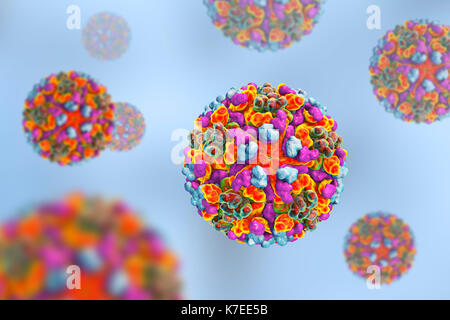 Le virus de l'encéphalite équine, illustration de l'ordinateur. C'est un ARN (acide ribonucléique) du virus du genre alphavirus. C'est un arbovirus (virus transmis par les arthropodes) et est transmis à l'homme, les oiseaux et les chevaux par piqûre de moustique. Les symptômes varient de légers symptômes semblables à ceux de l'inflammation du cerveau, un coma et la mort. Banque D'Images