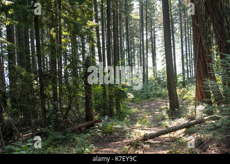 Kaches lac parc naturel de l'état de Washington l'eau arbres sauvage beauté pittoresque du nord-ouest du Pacifique de l'avoir net art boutique arbre à feuilles persistantes d'eau bleu montagnes rocks Banque D'Images