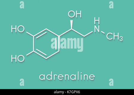 L'Adrénaline (épinéphrine), adrénaline neurotransmetteur molécule. utilisé comme médicament dans le traitement de l'anaphylaxie formule topologique. Banque D'Images