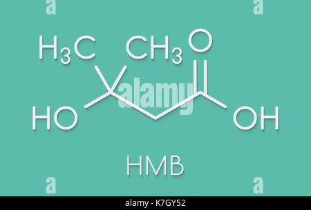 Beta-hydroxy beta-methylbutyric hmb leucine (acide) métabolite molécule. utilisé comme supplément, peut augmenter la force et la masse musculaire. formule topologique. Banque D'Images