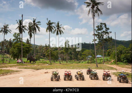 Quad garé dans une ligne avec un éléphant errant dans l'arrière-plan, Koh Samui, Thaïlande. Banque D'Images