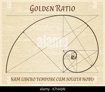 La section d'or, spirale de Fibonacci proportion nature harmonie vintage concept. golden ratio proportions dessin de défilement rétro Illustration de Vecteur