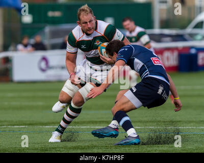 Londres, Royaume-Uni. 16 septembre, 2017. Mark bright en action, trailfinders ealing v bedford blues dans un match de championnat Greene King IPA au château de bar, Vallis, West Ealing, Londres, Angleterre, le 16 septembre 2017 Crédit : score final 45-25 lissy tomlinson/Alamy live news Banque D'Images