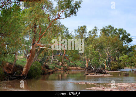 Bladensberg parc national, Winton, l'ouest du Queensland Banque D'Images