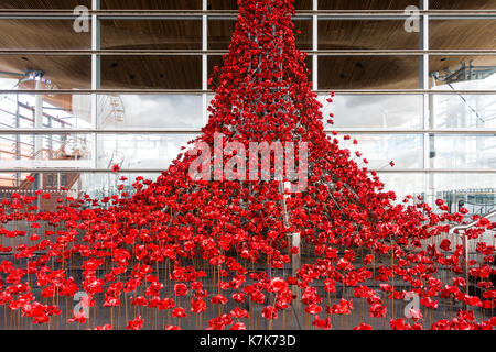 Cardiff, Pays de Galles, Royaume-Uni - 15 septembre 2017 : fenêtre en pleurs, une cascade de plusieurs milliers de coquelicots faits main verser d'une fenêtre de l'welsh Banque D'Images