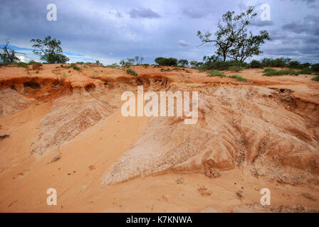 De l'érosion en raison de l'inondation des berges du ruisseau, bladensberg parc national, Winton, l'ouest du Queensland Banque D'Images