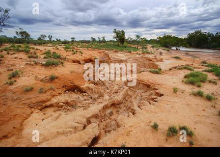 De l'érosion en raison de l'inondation des berges du ruisseau, bladensberg parc national, Winton, l'ouest du Queensland Banque D'Images