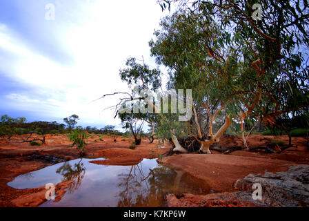 Le ruisseau qui coule après de récentes pluies, bladensberg parc national, Winton, l'ouest du Queensland Banque D'Images