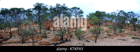 Bladensberg parc national, Winton, l'ouest du Queensland Banque D'Images