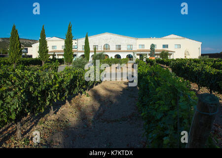 Bodega emina, Ribera del Duero La production de vin en valbuena de Duero, Valladolid, Espagne Banque D'Images