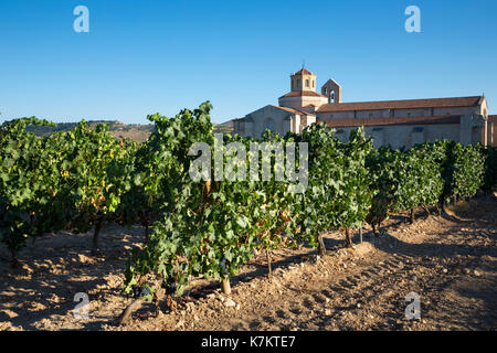 L'hôtel Castilla termal monastère de valbuena, vignoble de tempranillo raisin, la production de vin Ribera del Duero, Valladolid, Espagne Banque D'Images