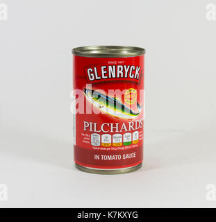 Glenryck sardines en sauce tomate, vendu dans une boîte de 155g. isolé sur blanc. Banque D'Images