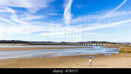 L'estuaire de Kent de la rivière à marée basse et l'Arnside viaduc de chemin de fer qui porte la ligne de Furness sur la rivière, vue de la promenade à Arnside. Banque D'Images