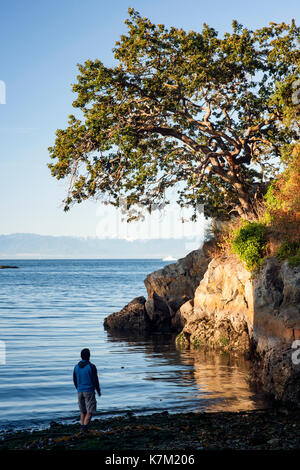 Vue de Saxe Point Park - Esquimalt, Victoria, île de Vancouver, Colombie-Britannique, Canada Banque D'Images