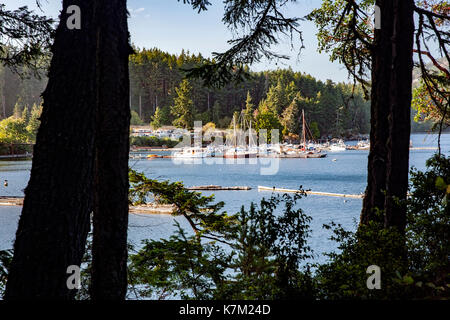 Becher Bay Marina près de parc régional East Sooke, Sooke, île de Vancouver, Colombie-Britannique, Canada Banque D'Images