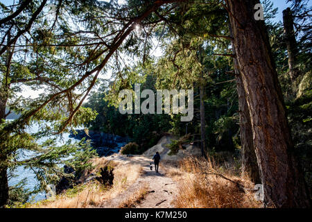 Randonneur sur creyke point trail - parc régional East Sooke, Sooke, île de Vancouver, Colombie-Britannique, Canada Banque D'Images