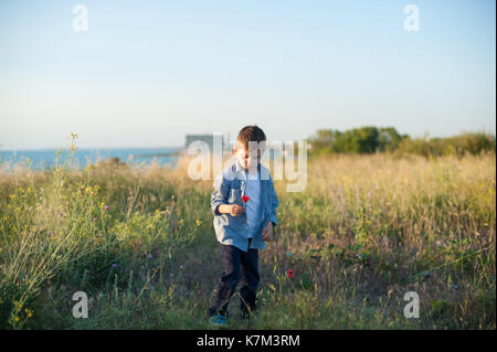 Beau petit garçon tenant un coquelicot se trouve dans un champ avec horizon de mer sur l'arrière-plan Banque D'Images