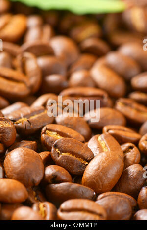 Close up of roasted Coffee beans - full frame Banque D'Images