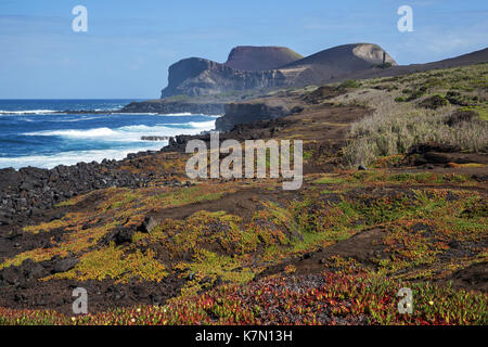 Paysage volcanique, dos Capelinhos Vulcão, Ponta dos Capelinhos, Capelo, île de Faial, Açores, Portugal Banque D'Images