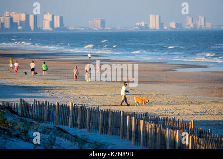 Caroline du Sud,Océan Atlantique,Myrtle Beach,sable,rivage,sable,horizon,les gens de plage,chien de marche,SC170516067 Banque D'Images