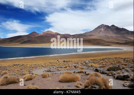 Laguna Miscanti, région d'Atacama au nord du Chili, Banque D'Images