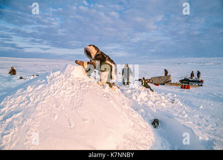 Aîné inuit homme, milieu des années 60, vêtu de vêtements traditionnels en peau de caribou, travaille sur un igloo traditionnel avec un couteau utilisé pour la construction d'igloos. igloos réelles ne sont pas en reste avec des blocs montrant. quand les blocs sont en place, l'igloo est recouvert de neige pour plus d'isolement. un traîneau traditionnel (traîneau) peut être vu en arrière-plan. Banque D'Images