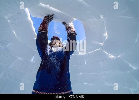 Aîné inuit homme, vêtu de vêtements modernes, s'appuie l'Arctique igloo en sculptant des blocs de neige et de les placer avec soin. c'est un abri traditionnel toujours utilisé par certains Inuits aujourd'hui Banque D'Images