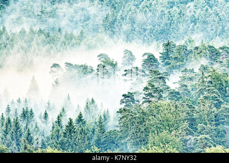 Brouillard dans la forêt, vu de la ruine du château de Lindelbrunn Banque D'Images