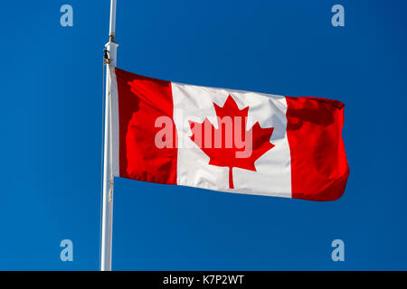 Brandir le drapeau canadien sur ciel bleu à Victoria, Canada Banque D'Images