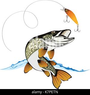 Le brochet et le leurre de pêche avec de l'eau splash isolé sur un fond blanc, couleur vector illustration Illustration de Vecteur