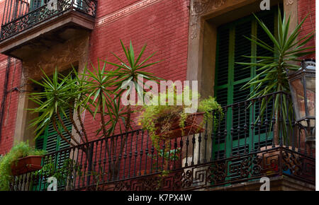 Photographie d'un balcon avec des plantes et des volets Banque D'Images