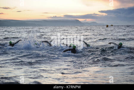 Weymouth, Dorset, UK. 17Th sep 2017. Les participants commencent la jambe de natation de l'Ironman 70.3 course de Weymouth. crédit : David Partridge/Alamy live news Banque D'Images