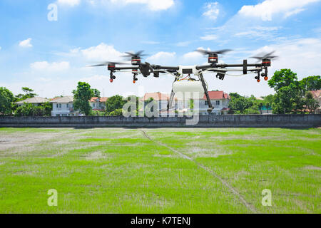 Sur le vol de drones de l'agriculture riz vert champ près du village Banque D'Images