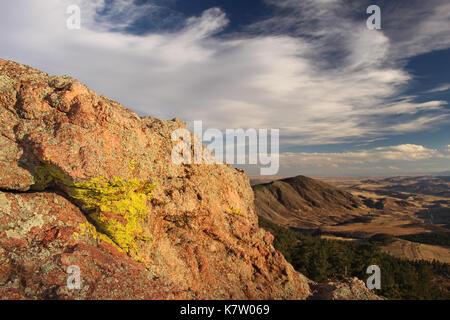 Vert clair lichen pousse sur un rocher de granit face donnant sur les contreforts de la Colorado Front Range. Banque D'Images