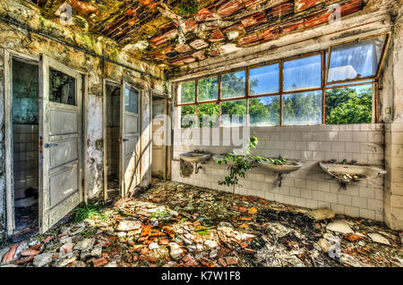 Toilettes ruinées dans un asile abandonné Banque D'Images