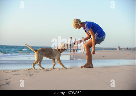 Une jeune femme joue avec son Golden Retriever sur la plage, Perth, Australie Banque D'Images