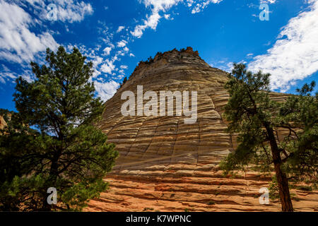 C'est un damier de Mesa, une formation historique dans Zion National Park, Utah, USA. Cette formation l'ion loin côté est du parc. Banque D'Images