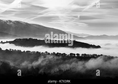 Vallée plantée par le brouillard, avec des collines et des arbres émergeant de la brume Banque D'Images