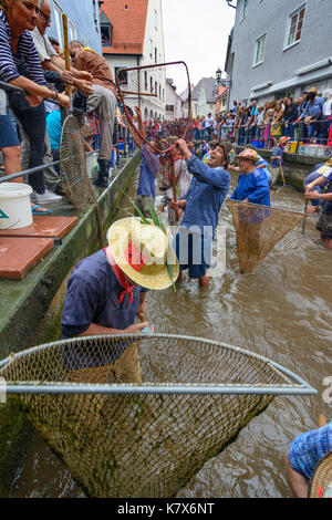 Fischertag Fisher (Jour) : les hommes et les garçons dans le canal piller essayer d'attraper un poisson (truite), Memmingen, Schwaben, souabe, Bayern, Bavière, Allemagne Banque D'Images