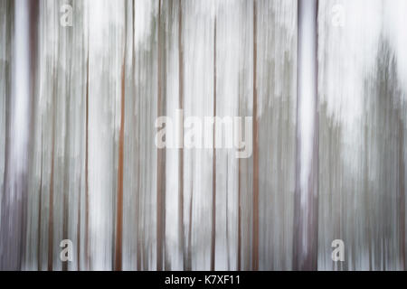 Résumé d'arbres en hiver, Laponie, Finlande Banque D'Images