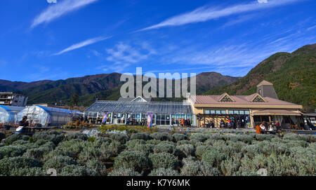 Yamanashi, Japon - Dec 4, 2016. vue de kawaguchiko township à Yamanashi, au Japon. la topographie naturelle de la région de Yamanashi est populaire pour tou Banque D'Images