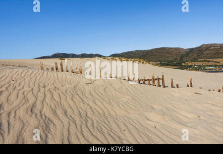 Clôture en bois la protection des dunes, des dunes de sable, de Punta Paloma, Valdevaqueros Cadix, Andalousie, espagne. Banque D'Images