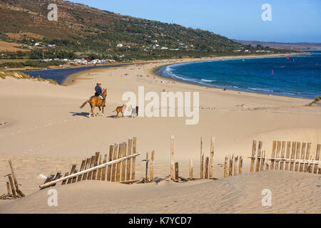 L'équitation dans les dunes à Punta Paloma, Valdevaqueros, la plage, la Province de Cadix, Costa de la Luz, Andalousie, Espagne Banque D'Images