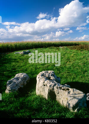 Voir SW de Kingston Russell fin du Néolithique ou au début de l'âge du Bronze stone circle, Dorset : 18 pierres effondrée une fois formé un anneau intègre c 27,7m x 20,6m. Banque D'Images