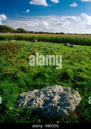 Voir SW de Kingston Russell fin du Néolithique ou au début de l'âge du Bronze stone circle, Dorset : 18 pierres effondrée une fois formé un anneau intègre c 27,7m x 20,6m. Banque D'Images